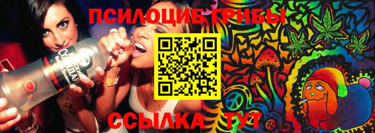 Югорск  Галлюциногенные грибы мицелий  Вход с VPN 