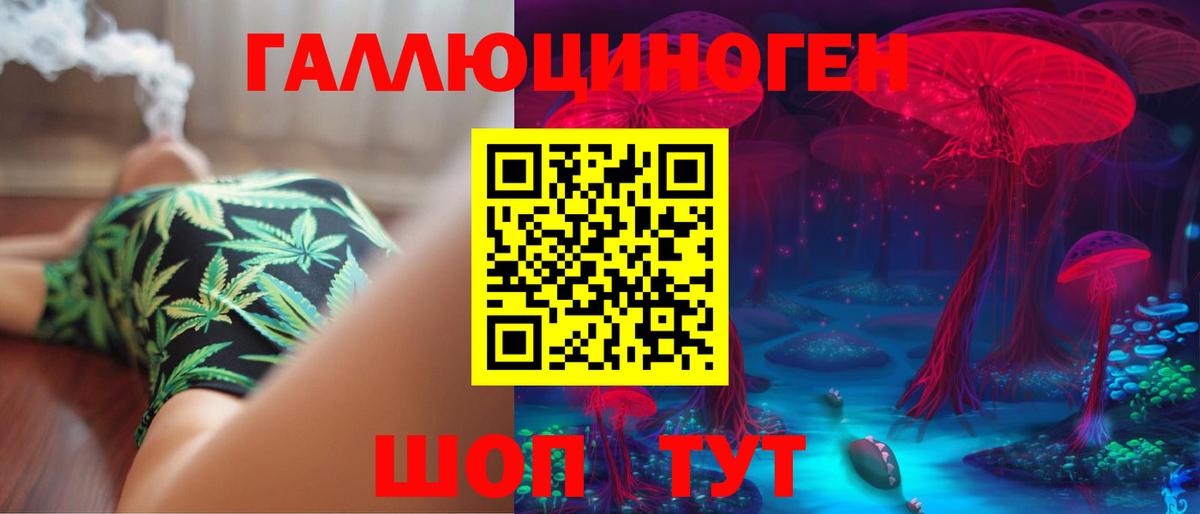 Галлюциногенные грибы Psilocybine cubensis  Югорск 